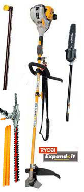 Ryobi RBC-30SES Brushcutter + AHF04 Hedge Cutter +  Extension + Pruner