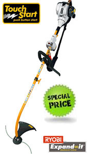 Ryobi  RLT30CET Line Trimmer / Strimmer  with ( Electric Start)
