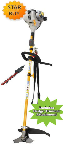Ryobi RBC-30SES Brushcutter Strimmer PACKAGE OFFER 