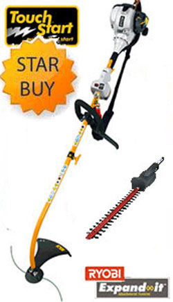 Ryobi  RLT30CET Strimmer  (Electric Start) Including Hedge Trimmer 