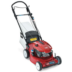 Toro 20951 48 cm AD Steel Deck Recycler� Lawnmower