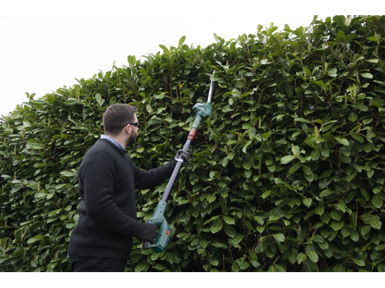 webb cordless hedge trimmer