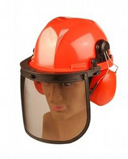 Chainsaw Safety Helmet with Visor & Earmuffs