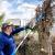 Hyundai HY20CPS Long Reach Cordless Pole Saw - view 4