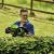 Greenworks Pro GD60HT66  60V Cordless Hedge Trimmer (Tool Only) - view 3