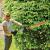 Greenworks Pro GD60HT66K2 60V Cordless Hedge Trimmer + 2Ah Battery & Charger - view 3