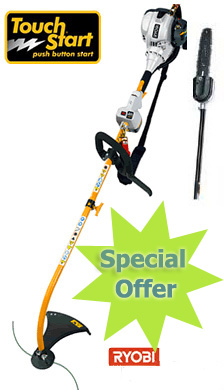 Ryobi  RLT30CET Strimmer  (Electric Start) OFFER With  - Pruner 